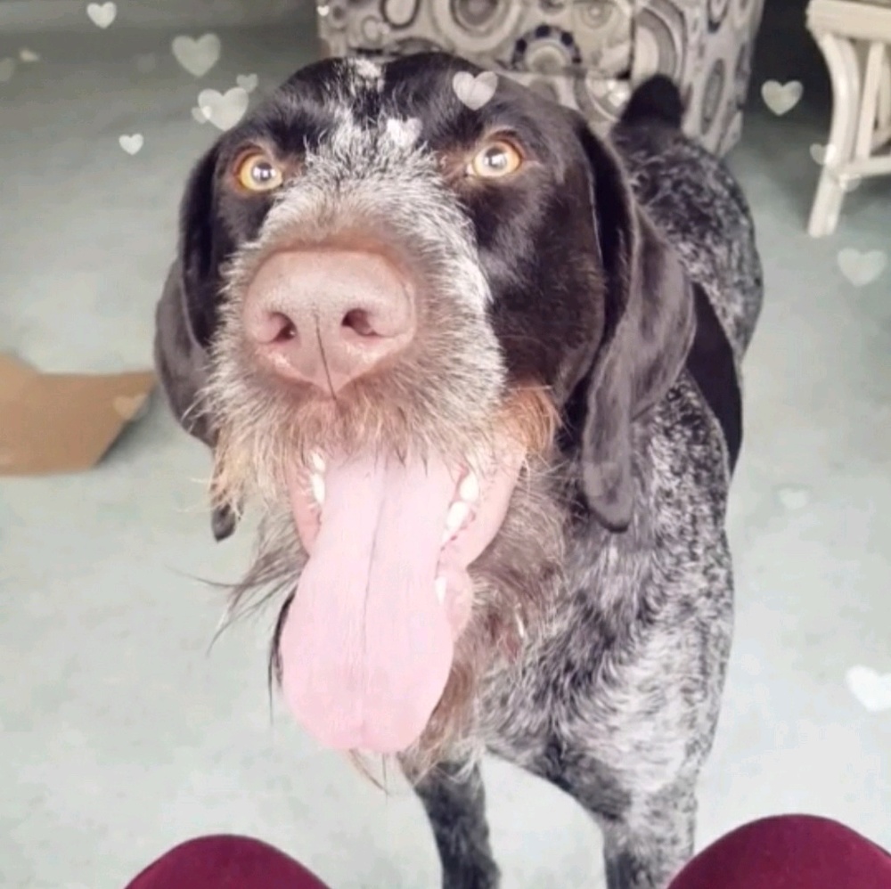 Meet your Posher, Justine